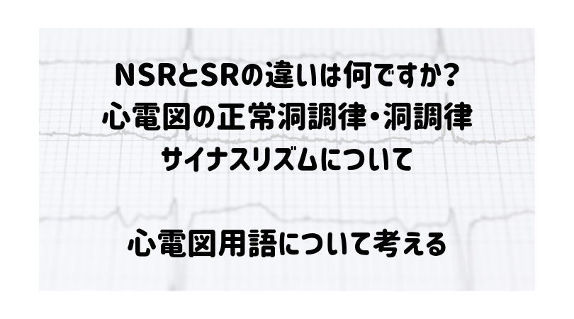 f:id:maru02:20190308000448p:plain