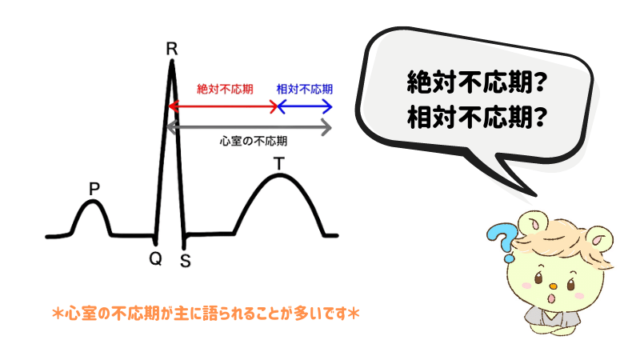 絶対不応期と相対不応期の位置