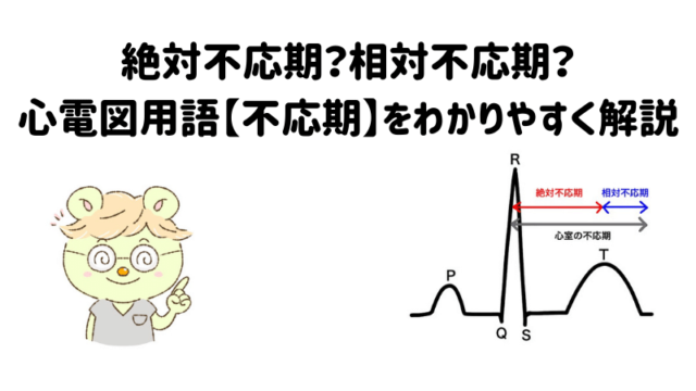 絶対不応期？相対不応期？心電図用語【不応期】をわかりやすく解説