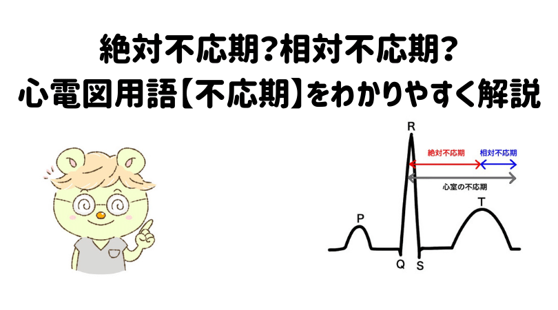 絶対不応期？相対不応期？心電図用語【不応期】をわかりやすく解説