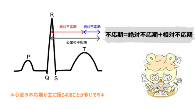 不応期＝絶対不応期＋相対不応期